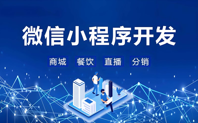 选择网络公司,让您的业务插上翅膀!